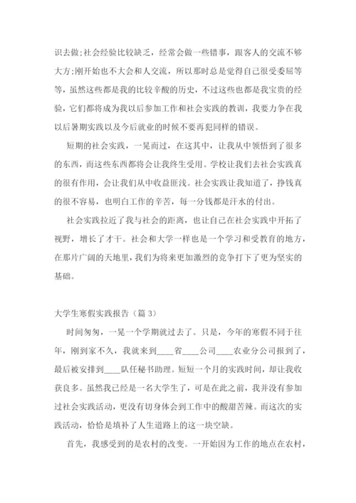 最新大学生寒假实践报告(个人通用).docx