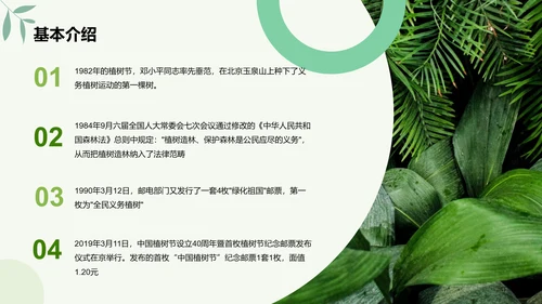 绿色简约扁平植树节节日科普PPT