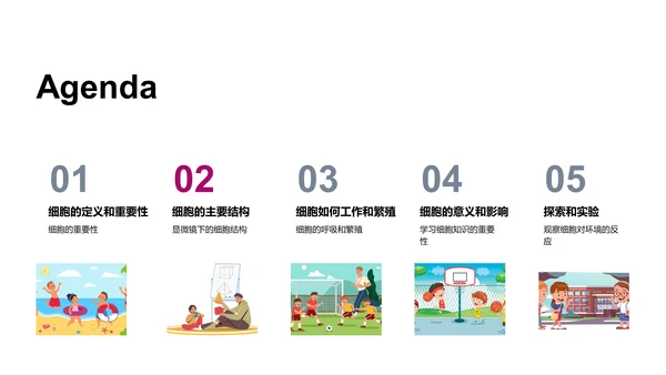 细胞知识讲解PPT模板