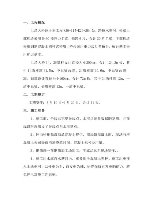 墩柱中系梁综合施工专题方案.docx