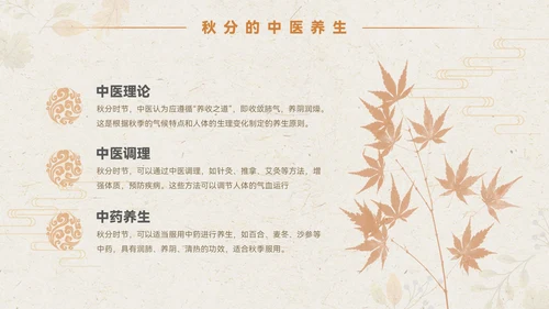 淡橙色简约中国风秋分节气PPT模板