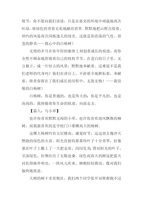 小学借物喻人的作文.docx