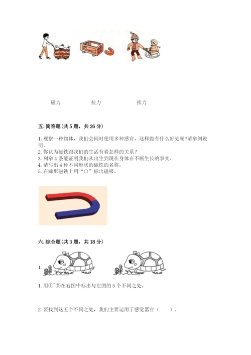 教科版小学科学二年级下册期末测试卷（完整版）.docx