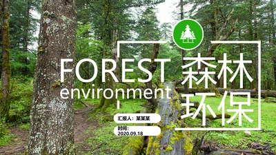 绿色环保森林湿地环境保护生态森林业PPT模板