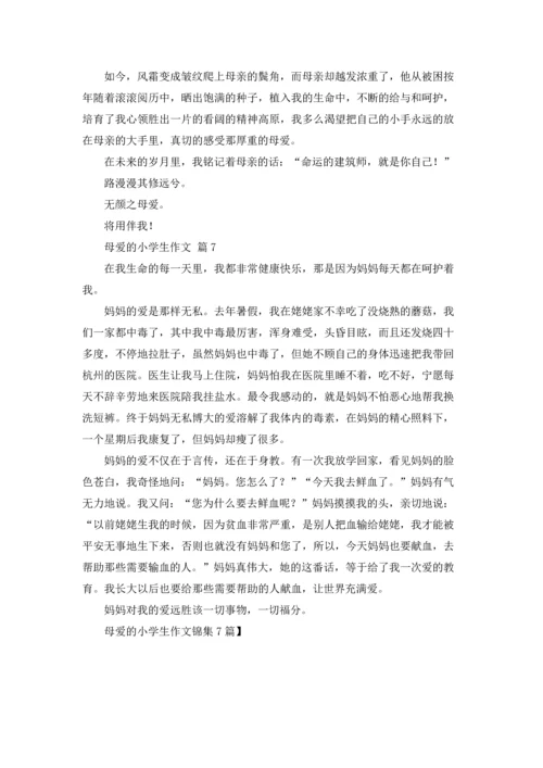 母爱的小学生作文锦集7篇.docx