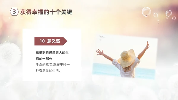 清新简约蒲公英3月20日国际幸福日追求幸福建设未来PPT