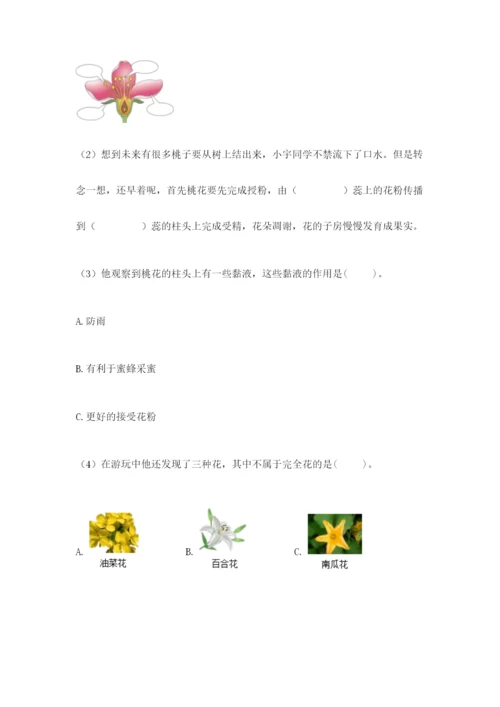 教科版科学四年级下册第三单元《岩石与土壤》测试卷带答案（a卷）.docx