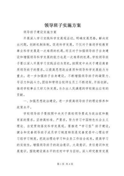 领导班子实施方案 (3).docx