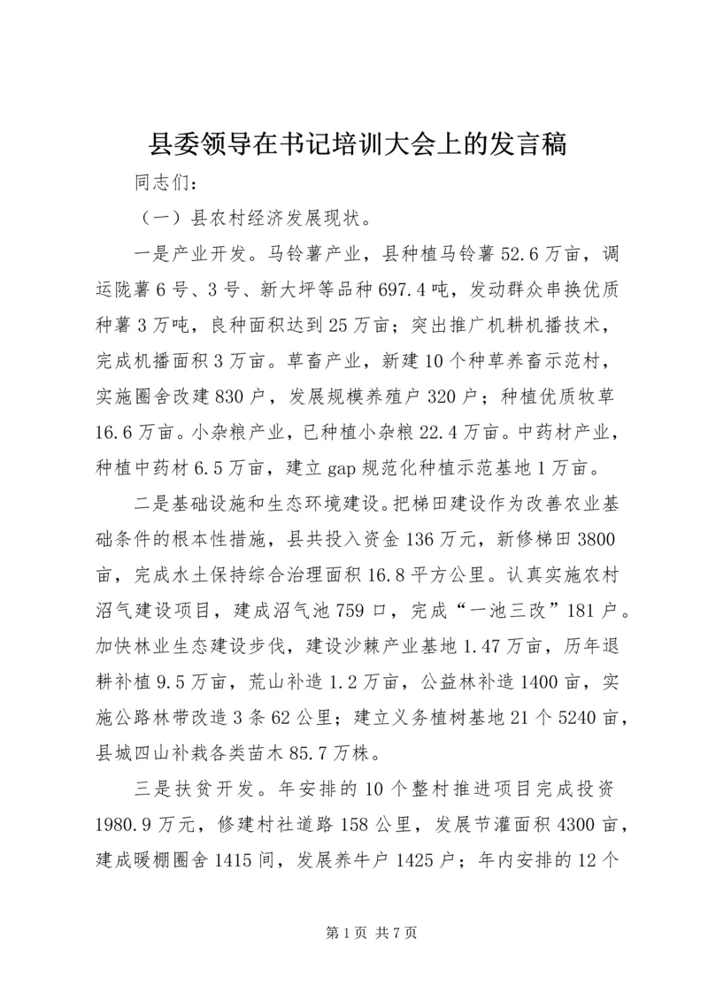 县委领导在书记培训大会上的发言稿.docx