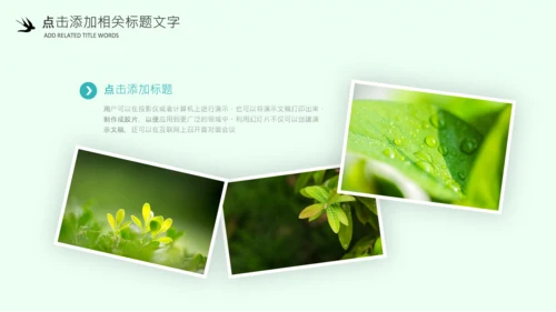 清明节气清新绿色清明节踏青PPT模板