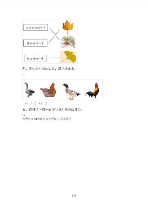 大象版一年级科学上册期末考试及答案最新