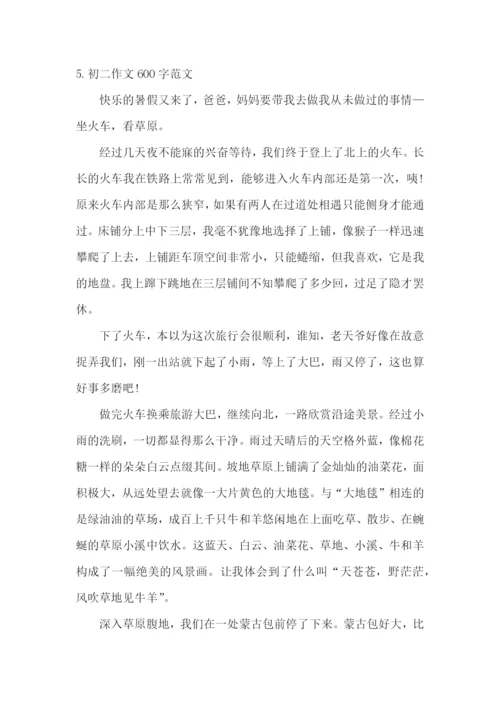 初二作文600字范文(5篇).docx