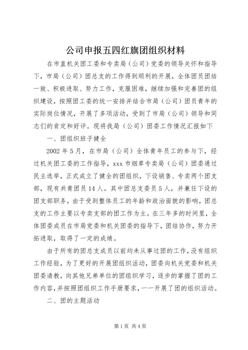 公司申报五四红旗团组织材料 (2).docx