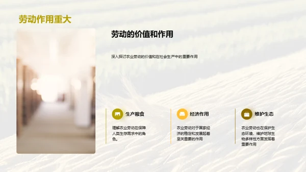 农业劳动之美