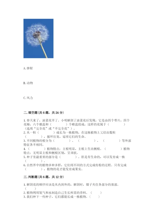 科学四年级下册第一单元《植物的生长变化》测试卷精品【名师推荐】.docx