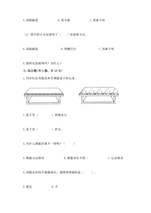 教科版一年级上册科学期末测试卷（易错题）.docx