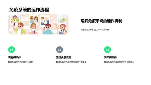 免疫系统解析PPT模板