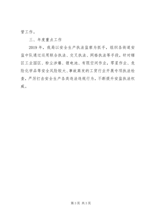 应急管理局执法科XX年上半年工作总结及下半年工作计划 (2).docx