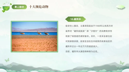 绿色清新剪纸风保护濒危动物拯救美好生命主题PPT世界动物日