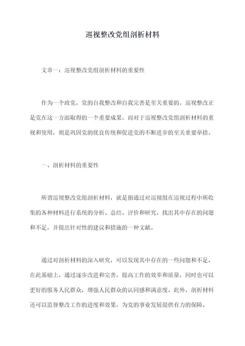 巡视整改党组剖析材料