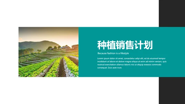 绿色农产品瓜果蔬菜农业主题通用PPT模板