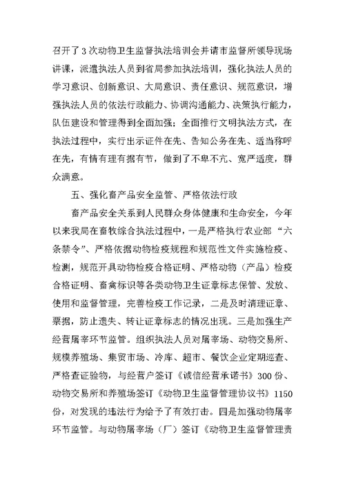 依法行政工作总结