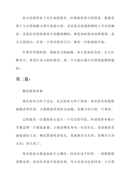 春天里的冬天感言