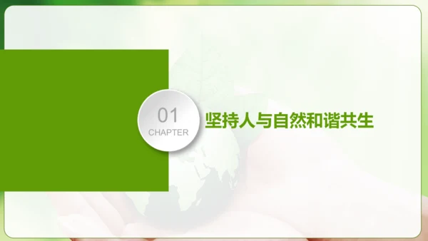 6.2共筑生命家园 课件(共30张PPT)