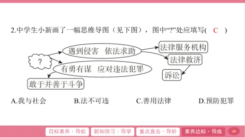 5.3 善用法律 课件(共28张PPT)