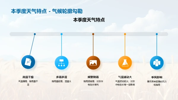 农业产量季度报告