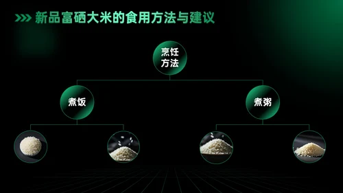 绿色科技风科技富硒大米新品发布会
