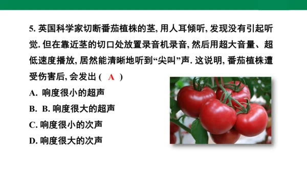 八年级上册物理全章复习训练：第二章声现象5—章末综合（21页ppt）