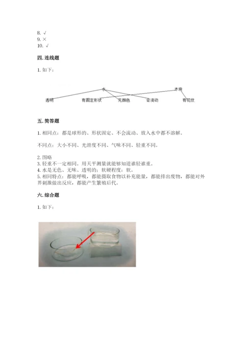 教科版一年级下册科学期末测试卷（中心小学）.docx