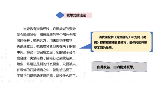 八年级上册语文 第五单元 名著导读《昆虫记》导读 课件