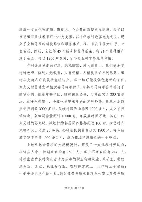 乡镇迎接县人大调研汇报材料.docx