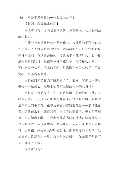 我爱你水仙花作文.docx