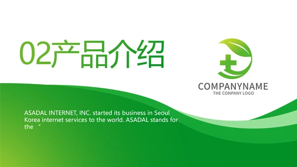 绿色简约医疗医药公司简介总结PPT