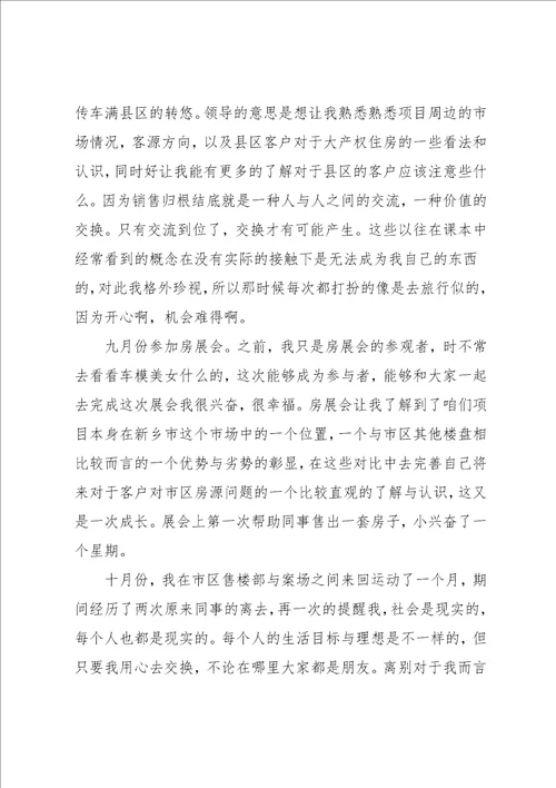 房地产置业顾问工作总结4篇