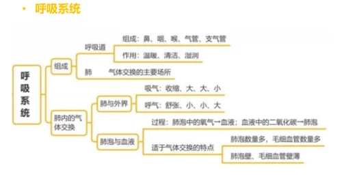 第四单元 生物圈中的人 七年级生物下册同步精品课件（人教版）(共31张PPT)