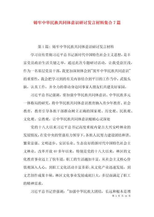 （精选）铸牢中华民族共同体意识研讨发言材料集合7篇.docx