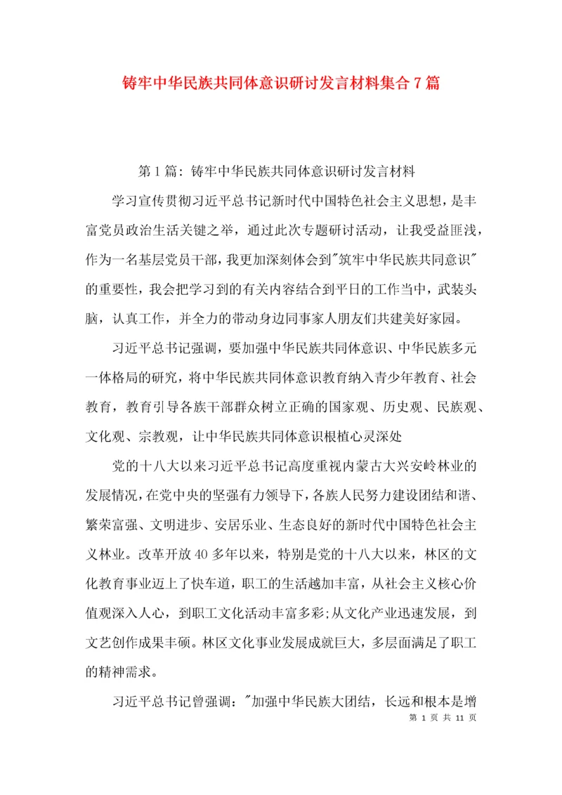 （精选）铸牢中华民族共同体意识研讨发言材料集合7篇.docx