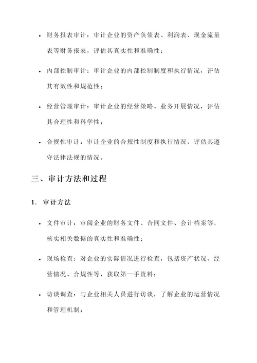 国有投资企业审计方案