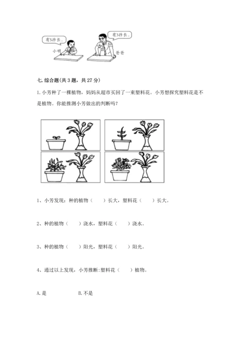 教科版一年级上册科学期末测试卷精品【b卷】.docx
