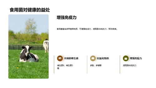小寒饮食：赋予菌菇新意义