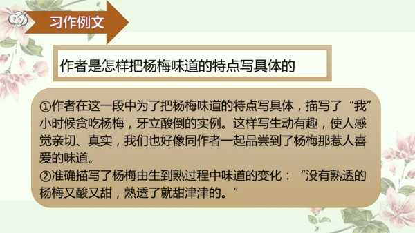 第五单元习作例文我爱故乡的杨梅