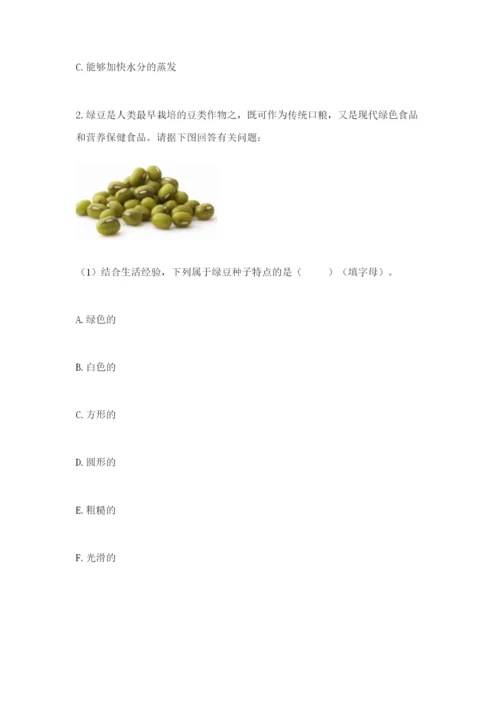 教科版科学四年级下册第一单元《植物的生长变化》测试卷【综合题】.docx
