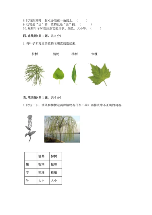 教科版一年级上册科学期末测试卷带答案（综合题）.docx