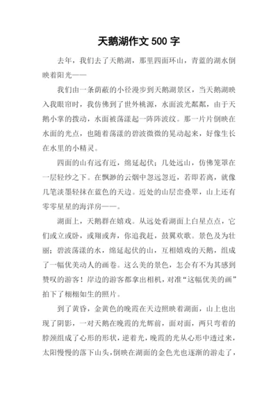 天鹅湖作文500字.docx