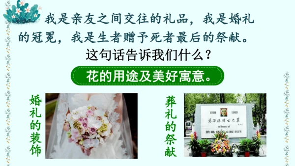 4 花之歌（课件）