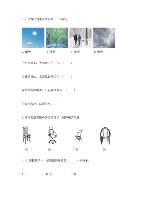 教科版科学二年级上册《期末测试卷》（黄金题型）.docx